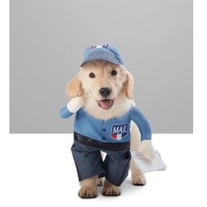 NWT Mailman dog costume